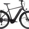 Giant DailyTour E+ 3 (Herren/Sport/500Wh) Rosewood -Berg Fahrrad Geschaft DailyTourE3 GTSSport500Wh Rosewood 1