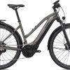 Giant Explore E+ Pro 0 (Damen/625Wh) Metallic Brown / Black Satin-Matt-Gloss
