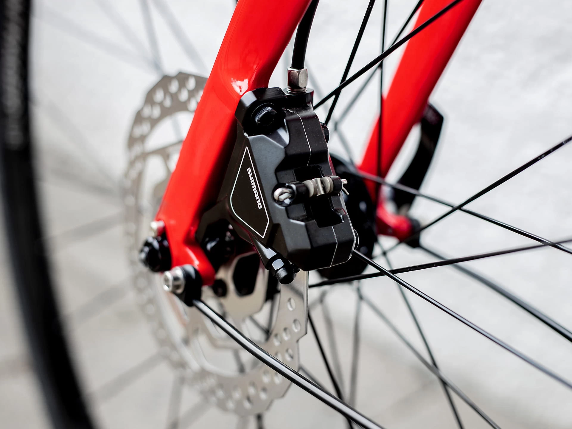 Trek FX 3 Disc Equipped Viper Red To Cobra Blood Fade 12 Trek FX 3 Disc Equipped Viper Red To Cobra Blood Fade – Bild 10