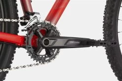 Cannondale Trail 5 Rally Red -Berg Fahrrad Geschaft MTBHardtailTrail5RallyRedBMOBikeMailorder 4