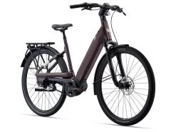 Liv Allure E+ 1 (BD/Sport/500Wh) Rosewood -Berg Fahrrad Geschaft MY22AllureEplus1 ColorBRosewood Front