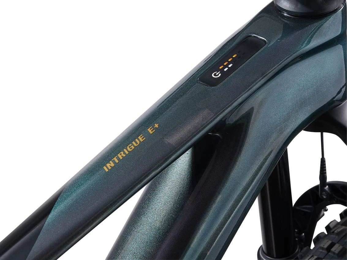 Liv Intrigue X Advanced E+ EL 1 - Airglow/Black 10 Liv Intrigue X Advanced E+ EL 1 - Airglow/Black – Bild 8