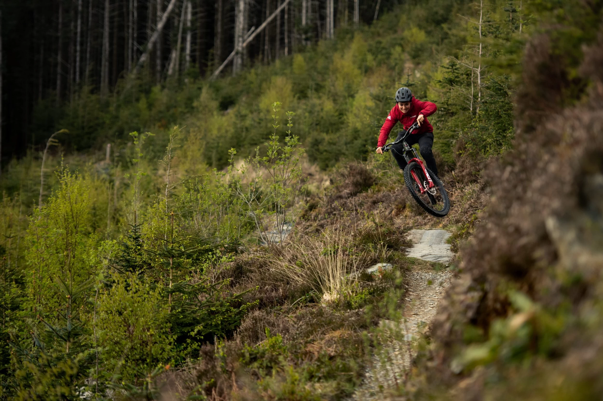 Santa Cruz Bronson 4 C MX XT RSV Gloss Moss And Blue 4 Santa Cruz Bronson 4 C MX XT RSV Gloss Moss And Blue – Bild 2