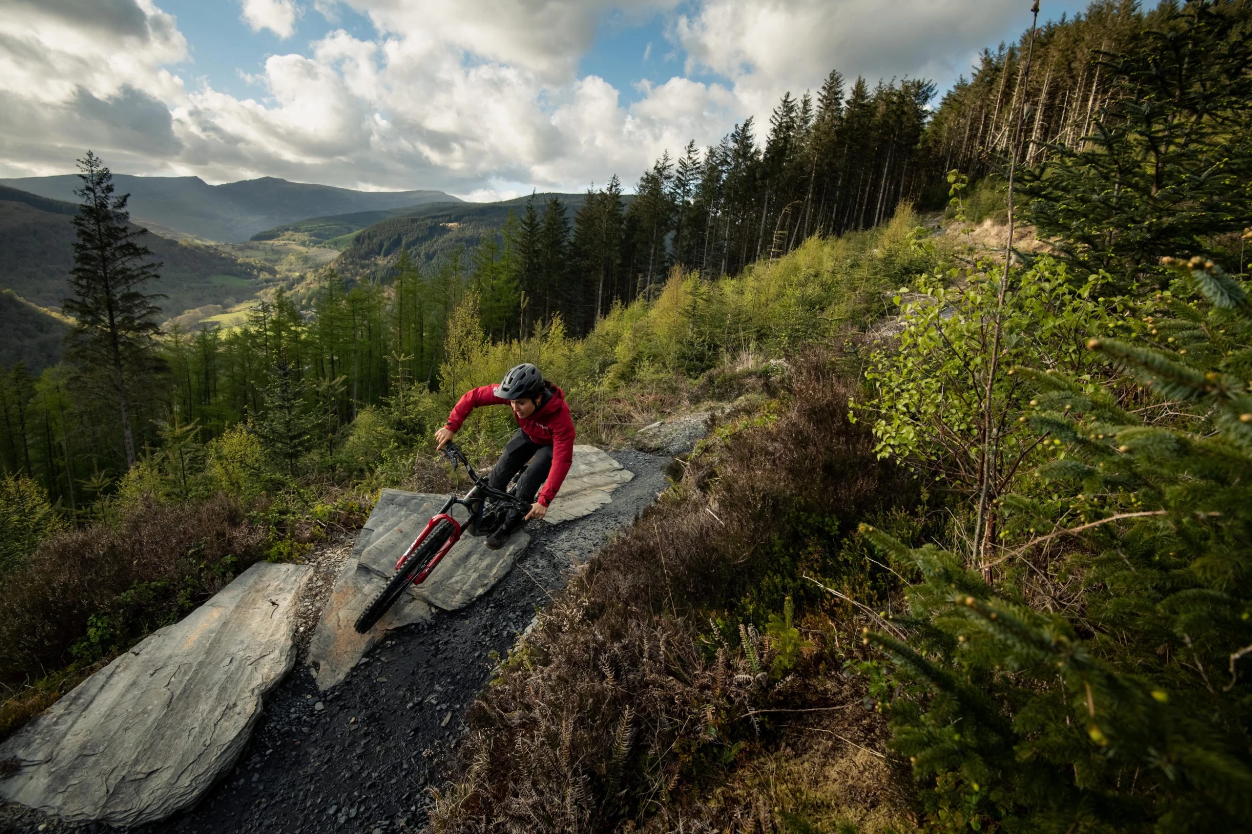 Santa Cruz Bronson 4 C MX XT RSV Gloss Moss And Blue 5 Santa Cruz Bronson 4 C MX XT RSV Gloss Moss And Blue – Bild 3