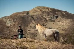 Santa Cruz Bronson 4 C MX XT RSV Gloss Moss And Blue 16 Santa Cruz Bronson 4 C MX XT RSV Gloss Moss And Blue -Berg Fahrrad Geschaft SN Bronson Vero 0957Uo2zNLtJvK03