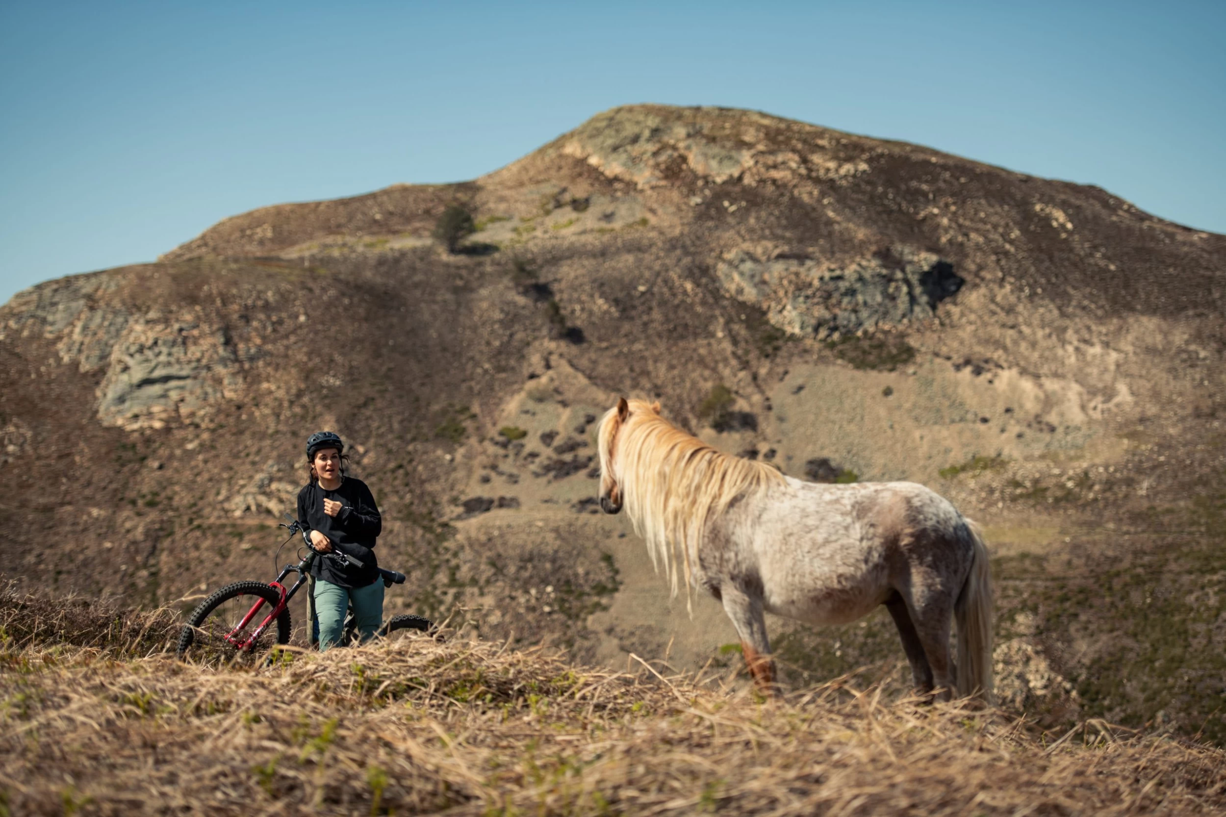 Santa Cruz Bronson 4 C MX XT RSV Gloss Moss And Blue 9 Santa Cruz Bronson 4 C MX XT RSV Gloss Moss And Blue – Bild 7