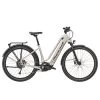 Zouma+ Tiefeinsteiger Iridiumsilber Metallic -Berg Fahrrad Geschaft Zouma Tiefeinsteiger Iridi