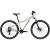 Cannondale Trail Womens 8 - Sage Gray -Berg Fahrrad Geschaft trail 8 women sage gray 1